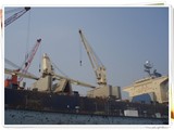 Salvage Survey